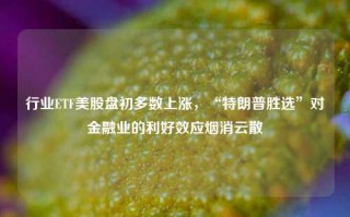 行业ETF美股盘初多数上涨，“特朗普胜选”对金融业的利好效应烟消云散