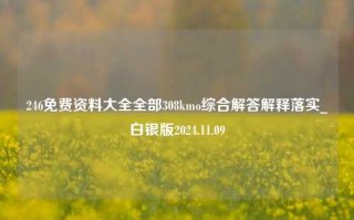 246免费资料大全全部308kmo综合解答解释落实_白银版2024.11.09