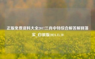 正版免费资料大全2017三肖中特综合解答解释落实_白银版2024.11.10