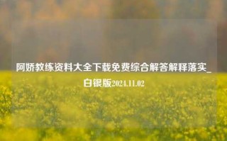 阿娇教练资料大全下载免费综合解答解释落实_白银版2024.11.02