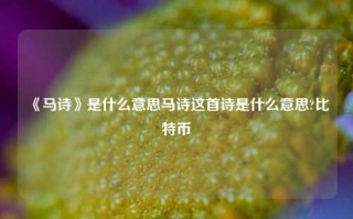 《马诗》是什么意思马诗这首诗是什么意思?比特币