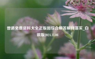 曾道免费资料大全正版图综合解答解释落实_白银版2024.11.08