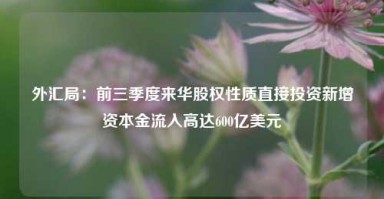 外汇局：前三季度来华股权性质直接投资新增资本金流入高达600亿美元