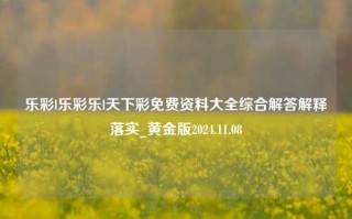 乐彩l乐彩乐l天下彩免费资料大全综合解答解释落实_黄金版2024.11.08