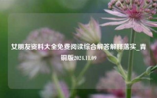 女朋友资料大全免费阅读综合解答解释落实_青铜版2024.11.09