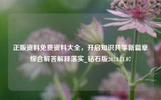 正版资料免费资料大全，开启知识共享新篇章综合解答解释落实_钻石版2024.11.07