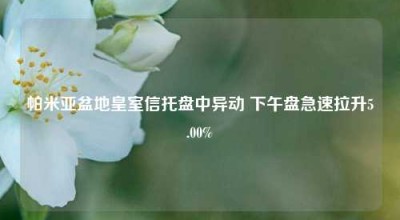 帕米亚盆地皇室信托盘中异动 下午盘急速拉升5.00%