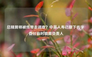 总精算师被传带走调查？中英人寿已撤下名字 委任临时精算负责人