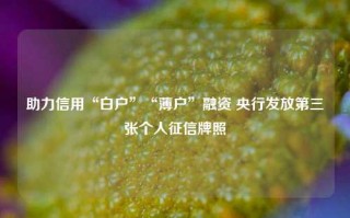 助力信用“白户”“薄户”融资 央行发放第三张个人征信牌照