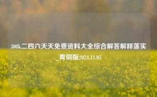 308k二四六天天免费资料大全综合解答解释落实_青铜版2024.11.05