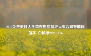 2019免费资料大全单双期期精准 m综合解答解释落实_白银版2024.11.06