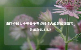 澳门资料大全夭天免费资料综合解答解释落实_黄金版2024.11.09