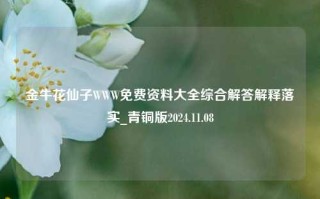 金牛花仙子WWW免费资料大全综合解答解释落实_青铜版2024.11.08