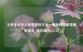 王中王王中王免费资料大全一精准综合解答解释落实_钻石版2024.11.01