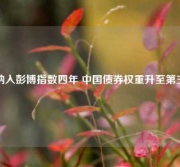 纳入彭博指数四年 中国债券权重升至第三