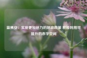 蓝佛安：实施更加给力的财政政策 积极利用可提升的赤字空间