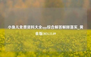 小鱼儿免费资料大全app综合解答解释落实_黄金版2024.11.09