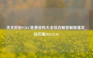 天天好彩973CC免费资料大全综合解答解释落实_钻石版2024.11.01