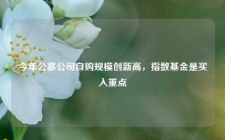 今年公募公司自购规模创新高，指数基金是买入重点