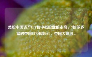 美股中国资产ETF和中概股盘前走高，3倍做多富时中国ETF涨超10%，中国大盘股...