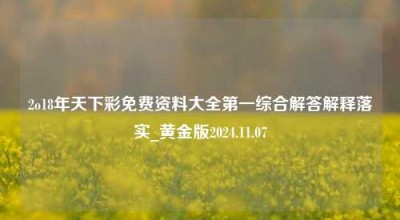 2o18年天下彩免费资料大全第一综合解答解释落实_黄金版2024.11.07