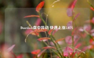 Doordash盘中异动 快速上涨5.07%