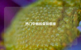 热门中概股盘前普涨