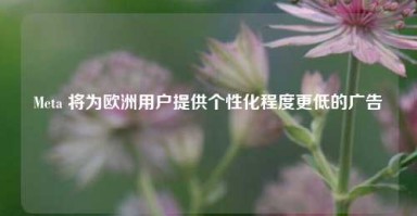 Meta 将为欧洲用户提供个性化程度更低的广告