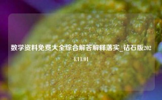 数学资料免费大全综合解答解释落实_钻石版2024.11.01