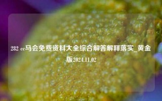 282 cc马会免费资料大全综合解答解释落实_黄金版2024.11.02