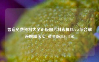 曾道免费资料大全正版图片料玄机料 ext综合解答解释落实_黄金版2024.11.02