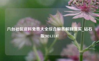 六台社区资料免费大全综合解答解释落实_钻石版2024.11.07