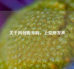 关于科创板并购，上交所发声