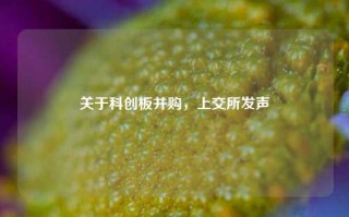 关于科创板并购，上交所发声