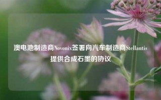 澳电池制造商Novonix签署向汽车制造商Stellantis提供合成石墨的协议