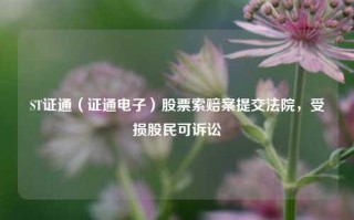 ST证通（证通电子）股票索赔案提交法院，受损股民可诉讼