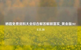 栖霞免费资料大全综合解答解释落实_黄金版2024.11.10