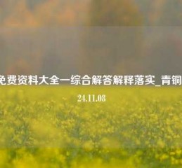 天 免费资料大全一综合解答解释落实_青铜版2024.11.08