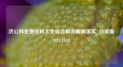 济公网免费资料大全综合解答解释落实_白银版2024.11.02