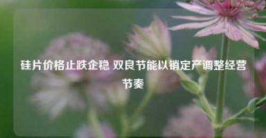 硅片价格止跌企稳 双良节能以销定产调整经营节奏