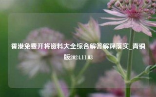 香港免费开将资料大全综合解答解释落实_青铜版2024.11.03