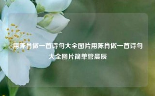 用陈肖做一首诗句大全图片用陈肖做一首诗句大全图片简单管晨辰