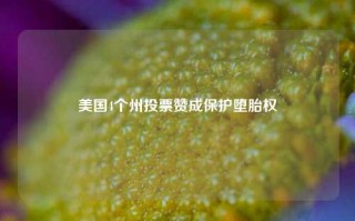 美国4个州投票赞成保护堕胎权