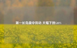 第一长岛盘中异动 大幅下挫5.01%