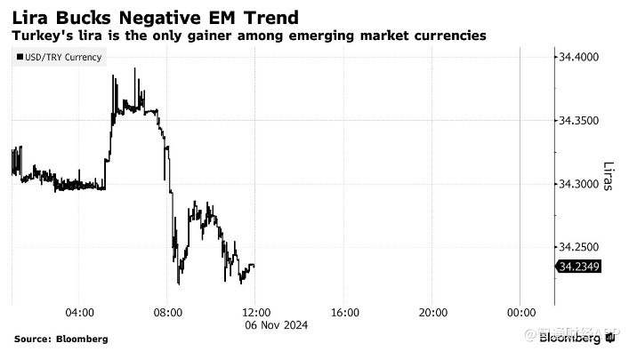 特朗普胜选引爆汇市 土耳其里拉成避风港-第1张图片-旅游攻略分享平台-独家小贴士