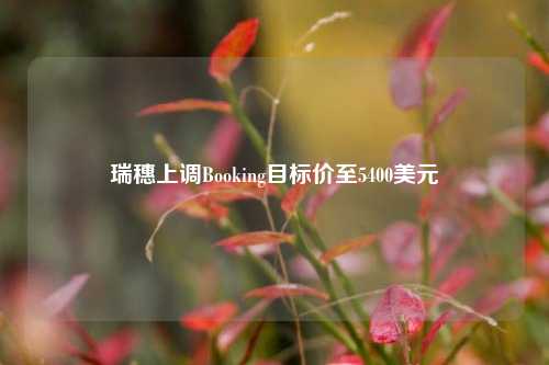 瑞穗上调Booking目标价至5400美元-第1张图片-旅游攻略分享平台-独家小贴士