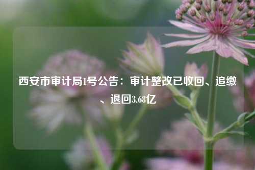 西安市审计局1号公告：审计整改已收回、追缴、退回3.68亿-第1张图片-旅游攻略分享平台-独家小贴士