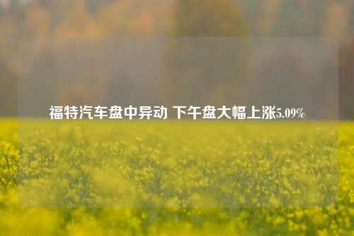 福特汽车盘中异动 下午盘大幅上涨5.09%-第1张图片-旅游攻略分享平台-独家小贴士