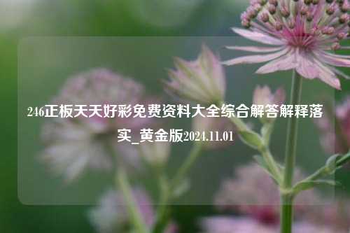 246正板天天好彩免费资料大全综合解答解释落实_黄金版2024.11.01-第1张图片-旅游攻略分享平台-独家小贴士