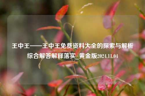 王中王——王中王免费资料大全的探索与解析综合解答解释落实_黄金版2024.11.04-第1张图片-旅游攻略分享平台-独家小贴士